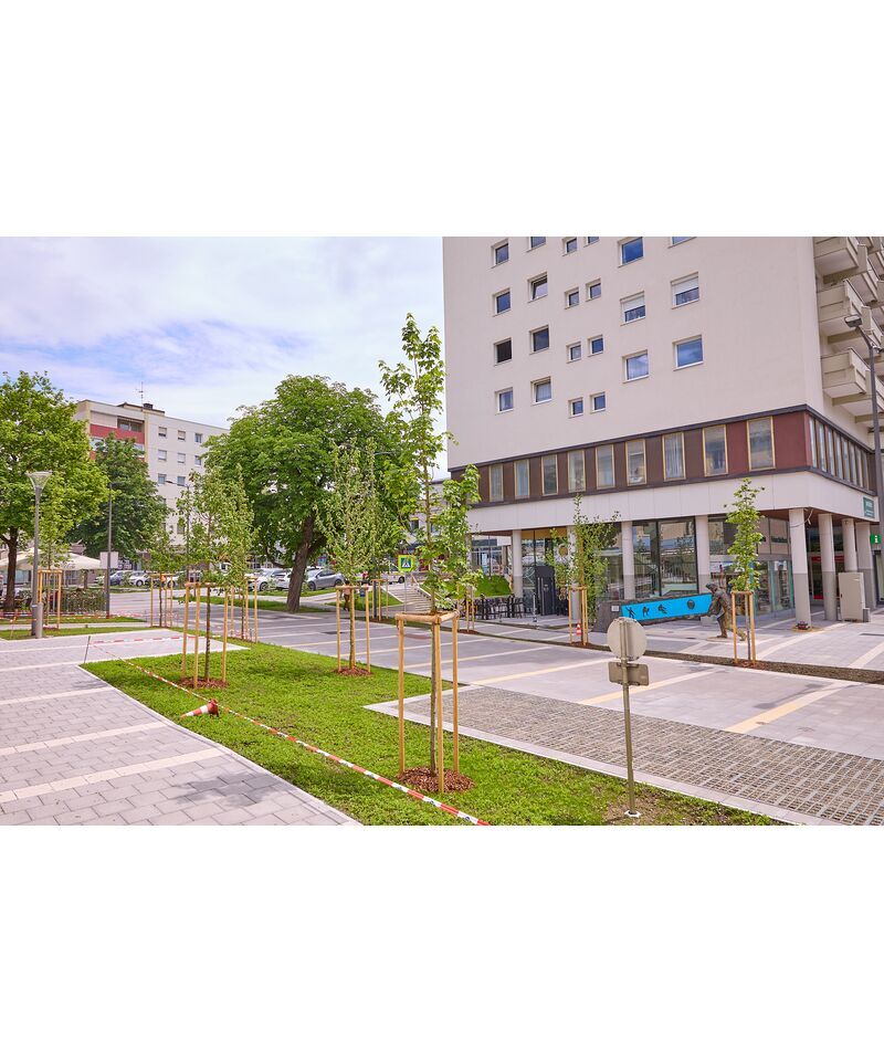 Hauptplatz - Abschnitt Marktplatz